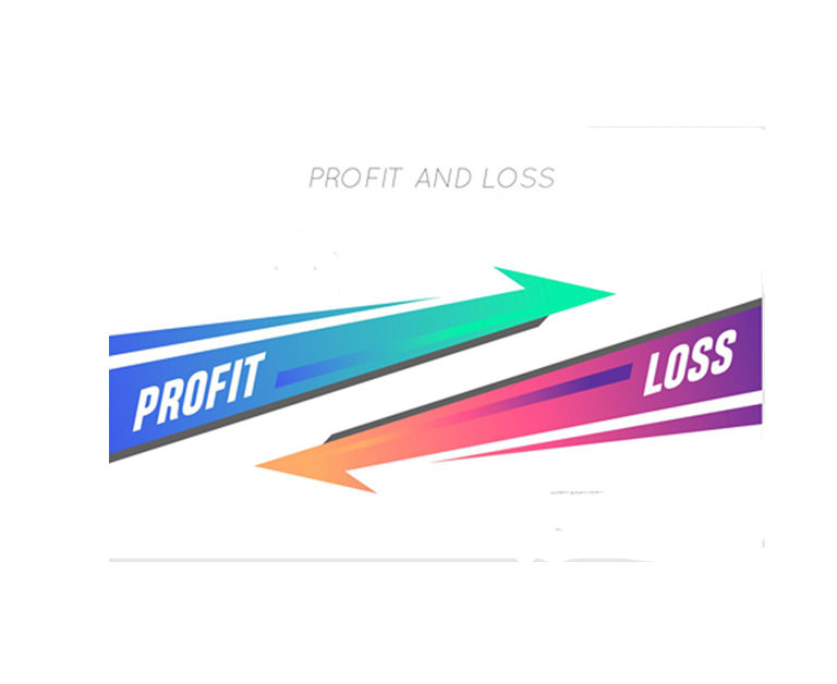 Profit & Loss Reporting for Business